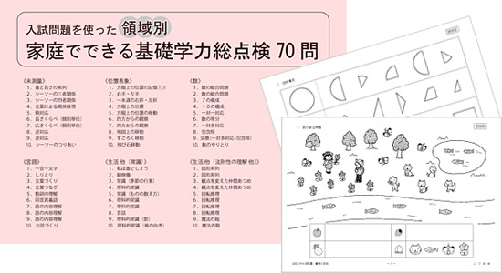 入試問題を使った 領域別「家庭でできる基礎学力総点検 70問」 | 限定